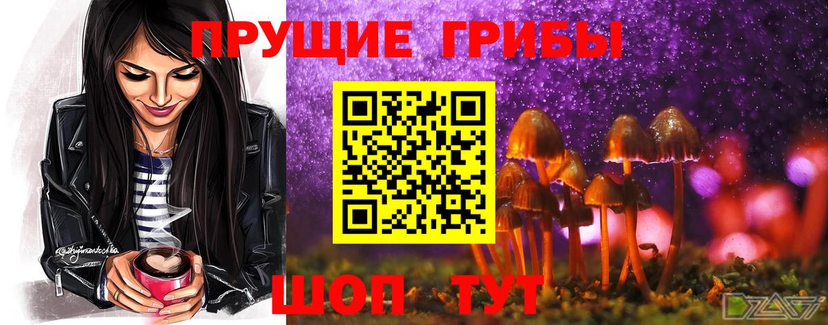 Галлюциногенные грибы GOLDEN TEACHER  Вход с VPN  Рыбинск 