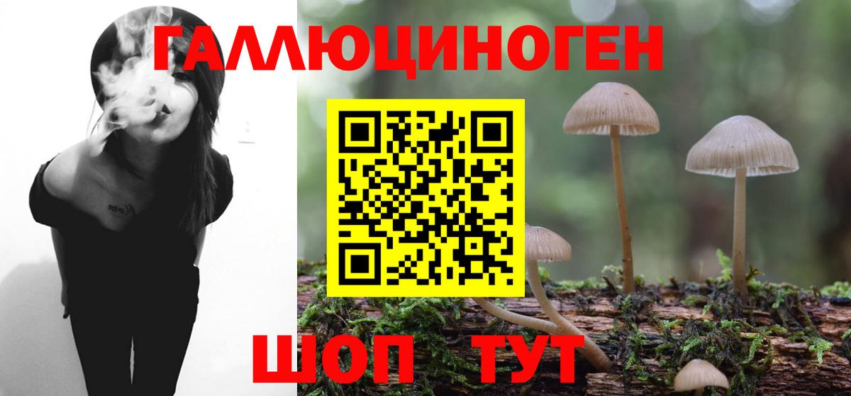 Галлюциногенные грибы MAGIC MUSHROOMS Рыбинск